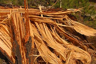 Mogollon Rim, October 21, 2010